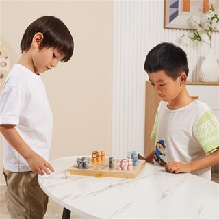 Ludo spel "mens erger je niet"